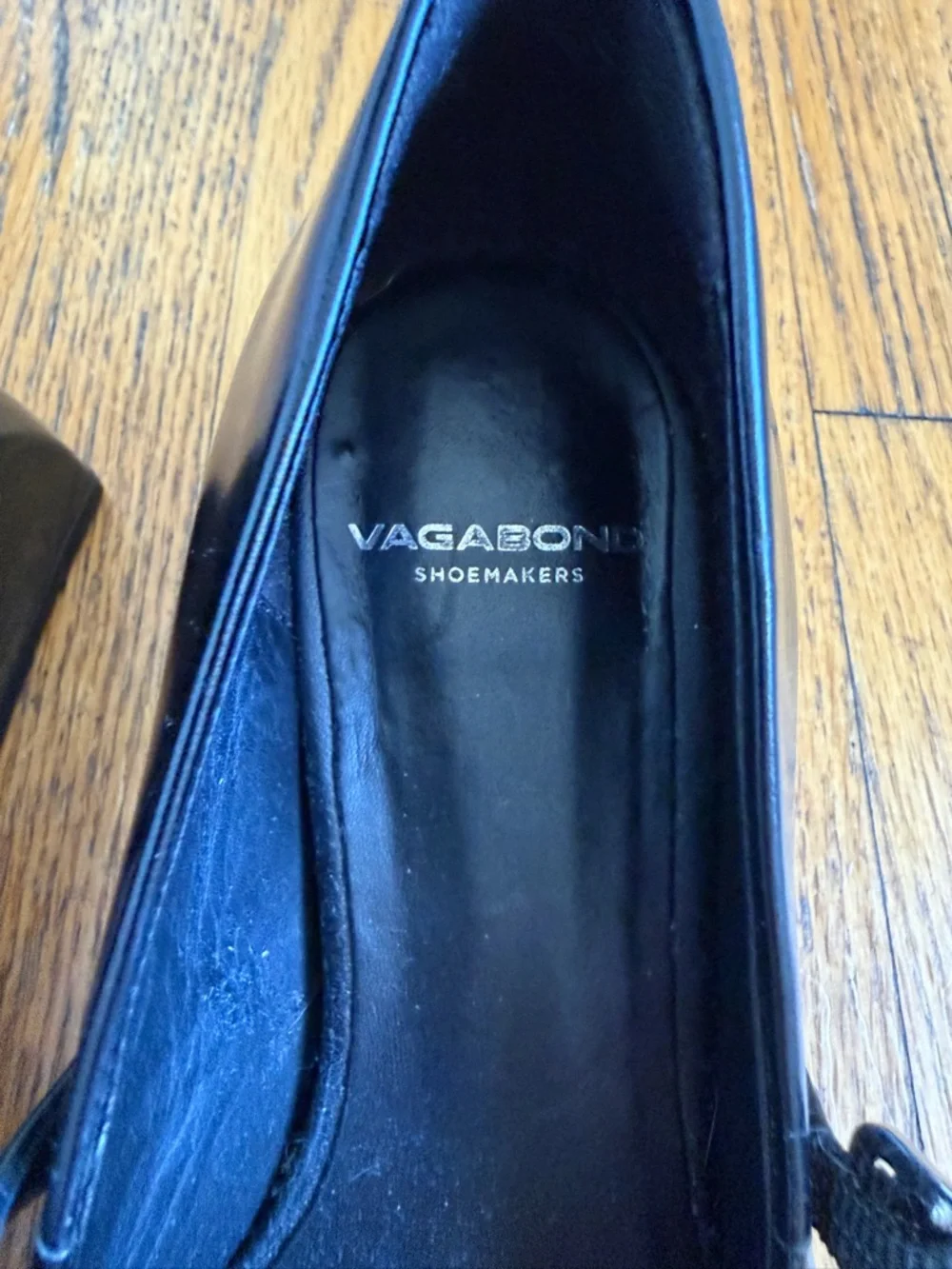 Vagabond sleek pointed